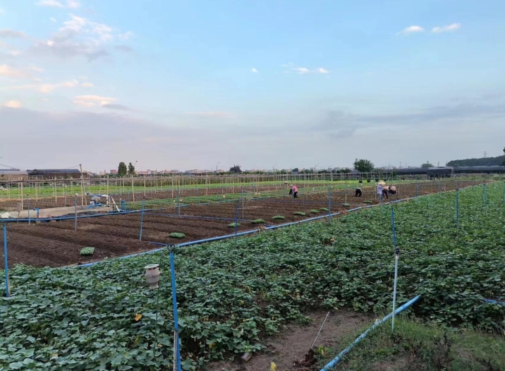 �V��ʳ�����͹�˾�v��o(w��)�������Gɫ���ЙC���߲˵ą^�e